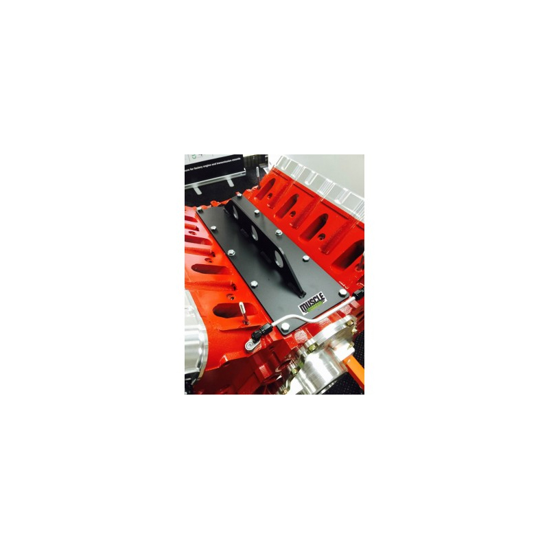 LS ENGINE LIFT PLATE