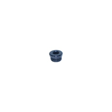 -10 IN HEX O-RING PORT PLUG