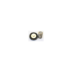 AF66-2055 REPLACEMENT DIAPHRAGAND SPRING  ASSEMBLY AF66-2055 REPLACEMENT DIAPHRAGAND SPRING  ASSEMBLY