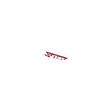 Fuel Rail Kit BA 6  Red Fuel Rail Kit BA 6  Red