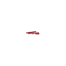 LS1 FUEL RAILS RED LS1 FUEL RAILS RED