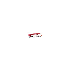 Fuel Rail Kit Suit SR20 red top Red color Fuel Rail Kit Suit SR20 red top Red color