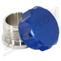 2in BORE CAP & STAINLESS BUNG ASSY BLUE