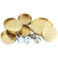 SBF 351C WELSH PLUG KIT