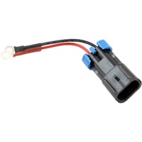 DELPHI CONVERSION HARNESS