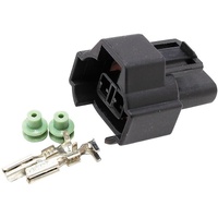 DENSO INJECTOR PLUG & PINS