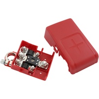 FUSED BATTERY TERMINAL POSITIV