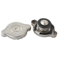 replacement blanking cap and