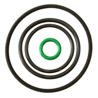 REPLACEMENT O-RINGS TO SUIT