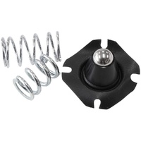 AF66-2060 REPLACEMENT DIAPHRAG