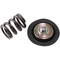 AF66-2058 REPLACEMENT DIAPHRAG