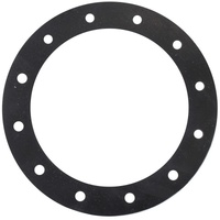 Replacement viton gasket suits