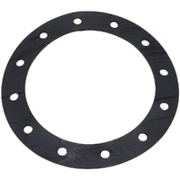 REPLACEMENT PTFE GASKET SUITS