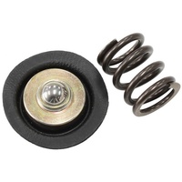 REPLACEMENT DIAPHRAGM & SPRING