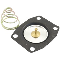 REG REPLACEMENT DIAPHRAGM NEW