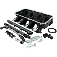 LOW RISE EFI GM LS Cathedral Port Intake Manifold Base