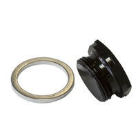 HOLLEY INLET BOWL BLANK PLUG