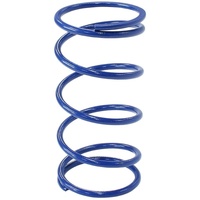 WASTEGATE BLUE MIDDLE SPRING