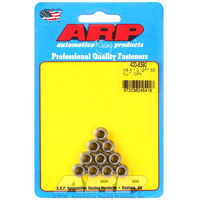 12pt S/S NUT M6 X 1.00 10 PACK