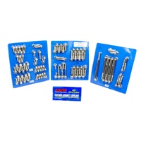 FORD 429-460 HEX SS ACCESSORY BOLT KIT