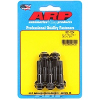 HEX BLK M8 X 1.25 BOLTS 35MM