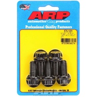 12PT BLK 12 X 1.75MM BOLTS 25MM UHL