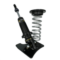 GAZZARD FORD XR-XF AFCO COIL OVER SYSTEM