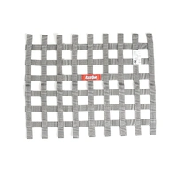 RACEQUIP 18 X 24 SFI RIBBON NET PLATINUM