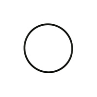 BOV PowerPort/ProPort Inlet Flange O-ring