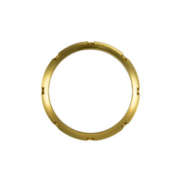 BOV PowerPort Collar Gold