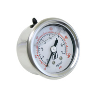 FPR Gauge 0-100psi