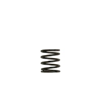 Gen4 / IWG WG38/40/45/50L 3PSI INNER SPRING - BROWN/BLACK