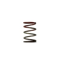 Gen4 / IWG WG38/40/45/50L 11PSI MIDDLE SPRING - BROWN/RED