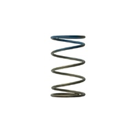 Gen4 / IWG WG38/40/45/50L 10PSI OUTER SPRING - BROWN/BLUE