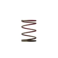 Gen4 / IWG WG38/40/45/50L 7PSI OUTER SPRING - BROWN/PINK