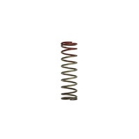 Gen4 WG38/40/45/50L HP 30 PSI Outer Spring Brown/Red
