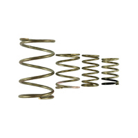 GenV WG38/40 Spring Replacement Kit