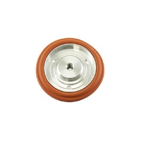 IWG75 TP Diaphragm Assembly Replacement